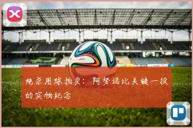 绝杀用球拍卖:阿努诺比关键一投的实物纪念