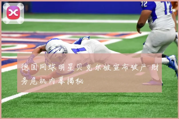 德国网球明星贝克尔被宣布破产 财务危机内幕揭秘