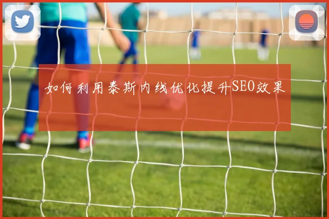 如何利用泰斯内线优化提升SEO效果