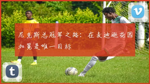 尼克斯总冠军之路：在麦迪逊花园加冕是唯一目标